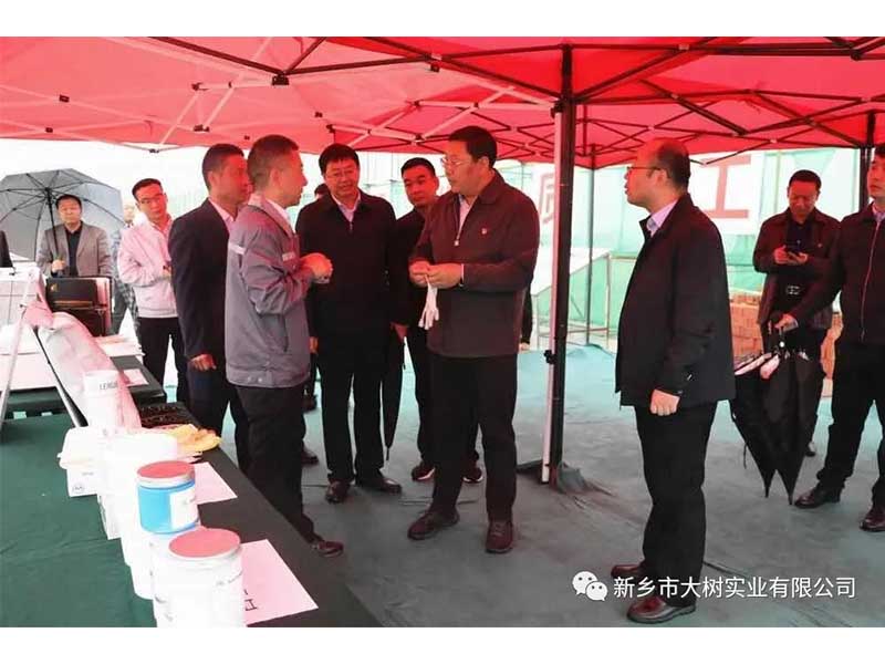 歡迎鶴壁市領導干部蒞臨河南大樹觀摩指導工作
